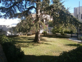 B&B Il Cedro Salve